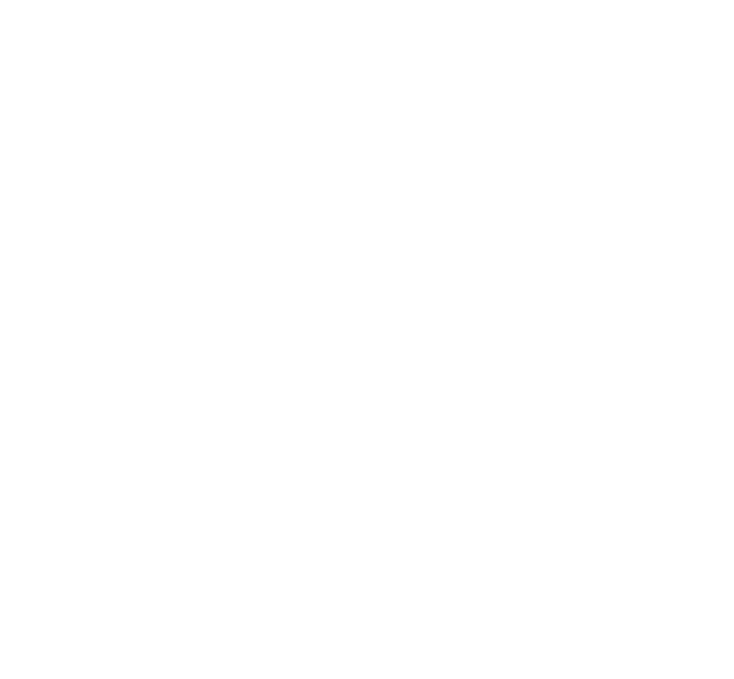 rapid Custom Homes logo in White